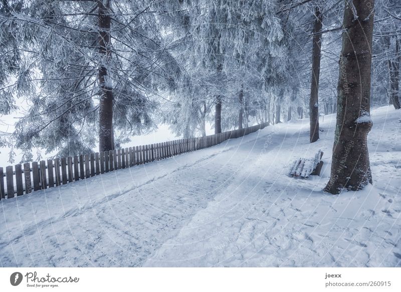 Begrenzte Aussichten Natur Winter Eis Frost Schnee Baum Wald Menschenleer Wege & Pfade hell kalt grau schwarz weiß Freizeit & Hobby Idylle Bank Lattenzaun