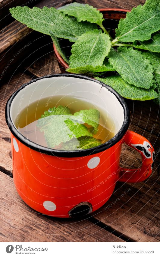 Tasse frischer Kräutertee Tee trinken Salbei Kraut Pflanze heiß natürlich hölzern Kräuterbuch Metallbecher Medizin Gesundheit Getränk grün Aroma Frische