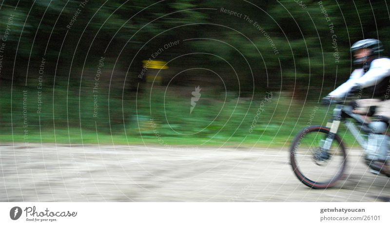 Schallmauer Fahrrad Geschwindigkeit Wald Helm Mann Unschärfe Kies Extremsport Wege & Pfade Natur Mut Bewegung Vorderseite Außenaufnahme