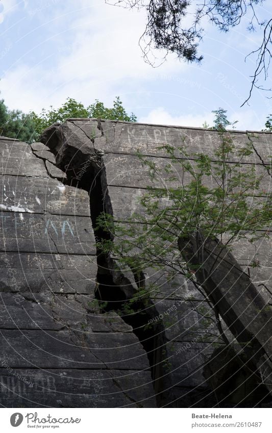 war einmal ... Mauer Zusammenbruch kaputt Stein Spalt Wand Verfall Außenaufnahme Fassade Vergänglichkeit Strukturen & Formen Riss Farbfoto Wandel & Veränderung