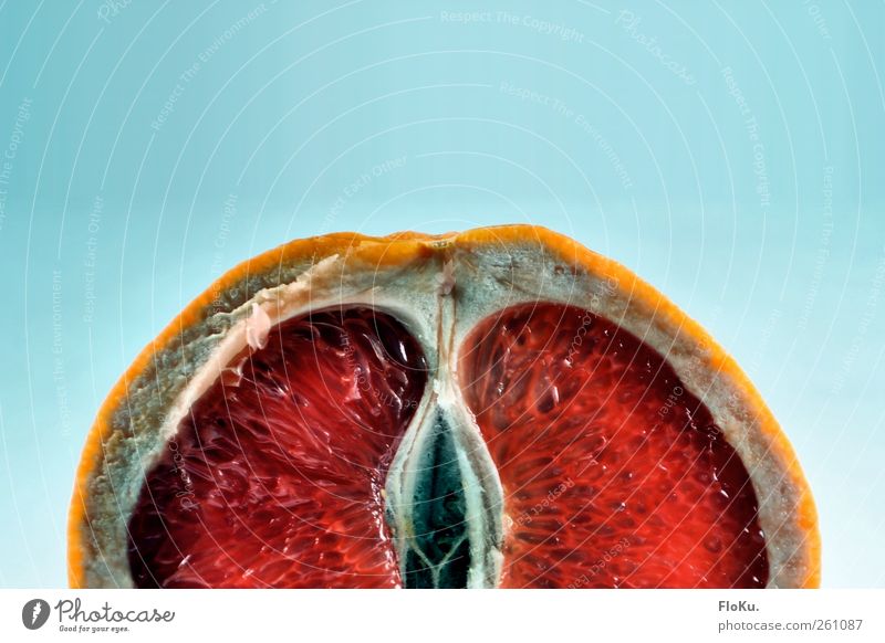 Huch Lebensmittel Frucht Ernährung Bioprodukte Vegetarische Ernährung blau rot Grapefruit Südfrüchte Zitrusfrüchte aufgeschnitten Teilung Fruchtfleisch Hülle