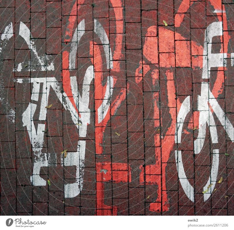 Wer hat Vorfahrt? Verkehr Verkehrswege Fahrradweg Polen Pflastersteine Pflasterweg Zeichen Schilder & Markierungen unten verrückt rot weiß chaotisch Desaster