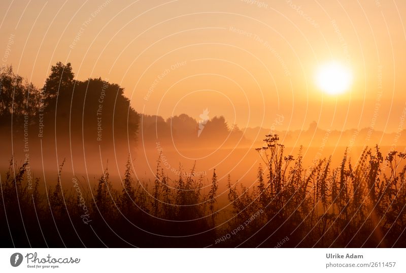 Mystischer Sonnenaufgang Design Wellness harmonisch Wohlgefühl Zufriedenheit Erholung Meditation Spa Innenarchitektur Dekoration & Verzierung Tapete Bild