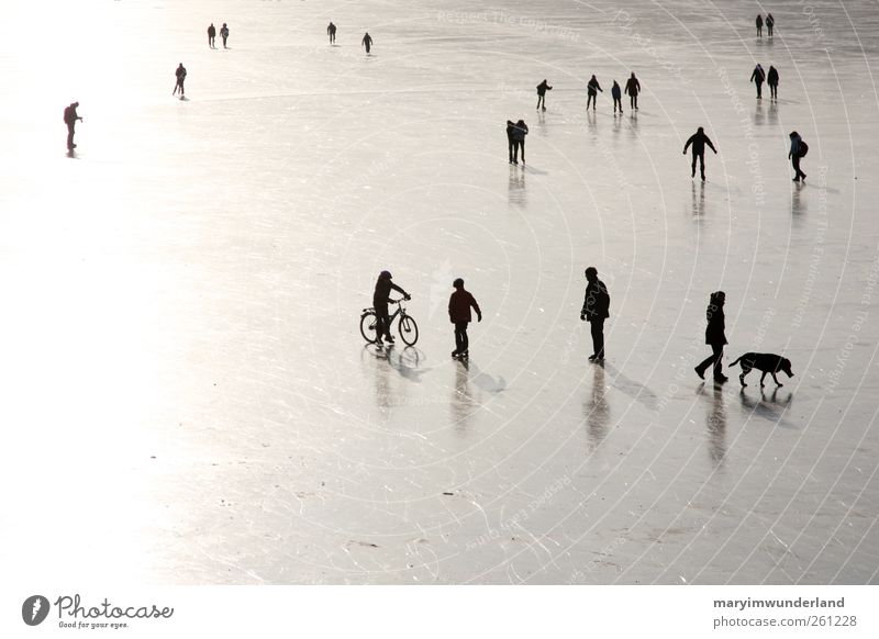 wenn die welt. Mensch Freundschaft Natur Wasser Winter Eis Frost See gehen Hund Schlittschuhlaufen Eisfläche Glätte Schwarzweißfoto klein Spaziergang graphisch