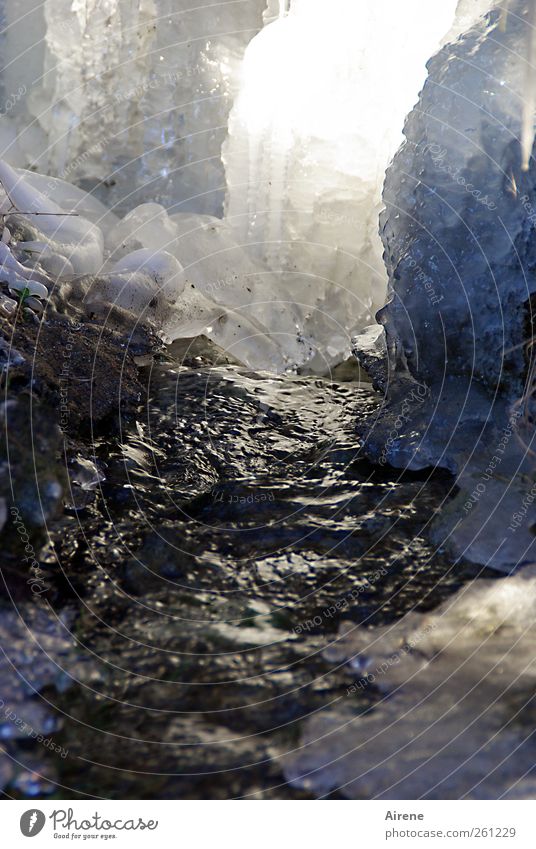 Der Frost kam über Nacht [MINI-UT INNTAL 2012] Natur Urelemente Wasser Winter Eis Schlucht Bach Wasserfall Kristalle frieren glänzend leuchten Flüssigkeit kalt