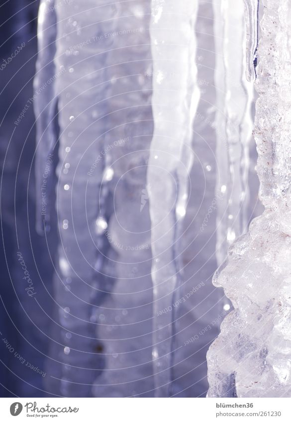 Eiskalt erwischt [MINI-UT INNTAL 2012] Winter Frost Wachstum Spitze blau weiß Eiszapfen durchsichtig Wasser Klima frieren hängen gefroren leuchten nass Eiszeit