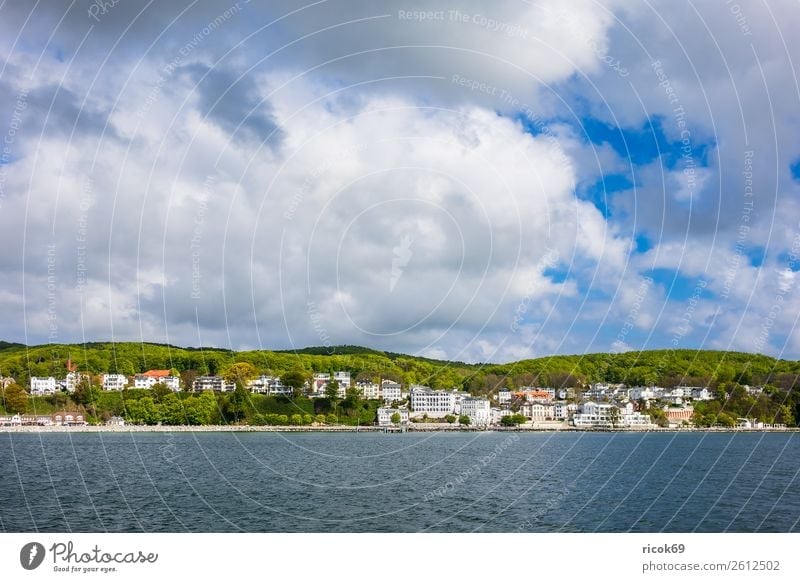 Blick auf Sassnitz auf der Insel Rügen Erholung Ferien & Urlaub & Reisen Tourismus Natur Landschaft Wolken Baum Wald Küste Ostsee Stadt Gebäude Architektur