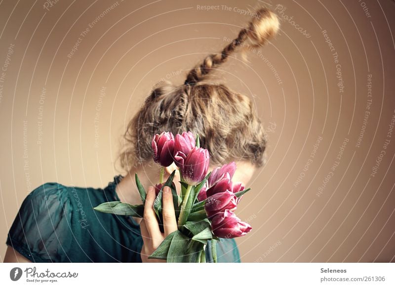 zartrosaschräg Mensch feminin Frau Erwachsene Kopf Haare & Frisuren Hand Finger 1 Pflanze Blume Tulpe Blüte Mode blond langhaarig Locken Zopf natürlich gefroren