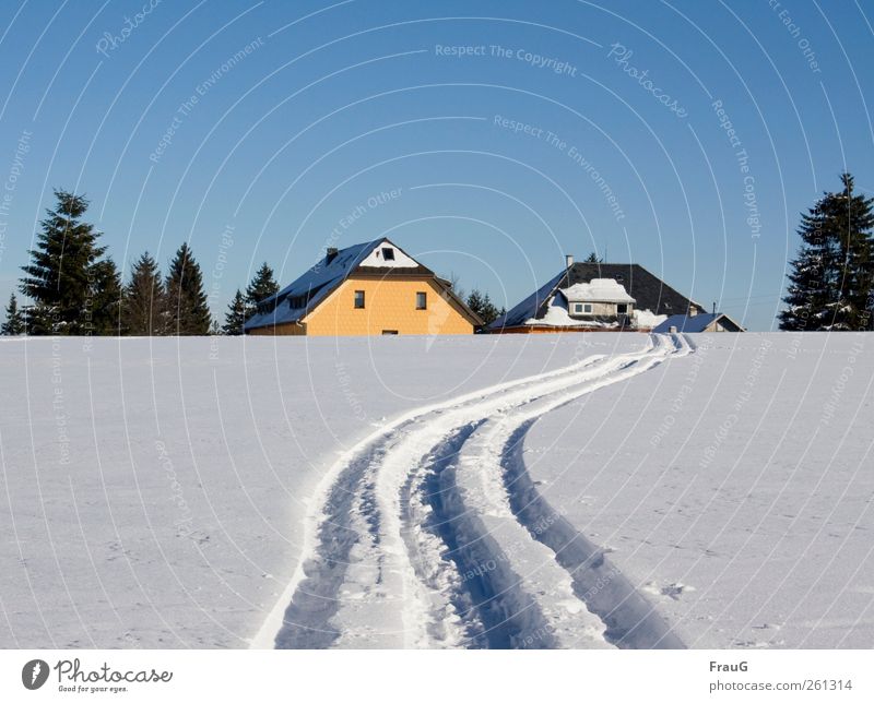Nach Hause... Ausflug Winter Schnee Winterurlaub Wintersport Skifahren Wolkenloser Himmel Sonnenlicht Schönes Wetter Eis Frost Baum Dorf Menschenleer Dach