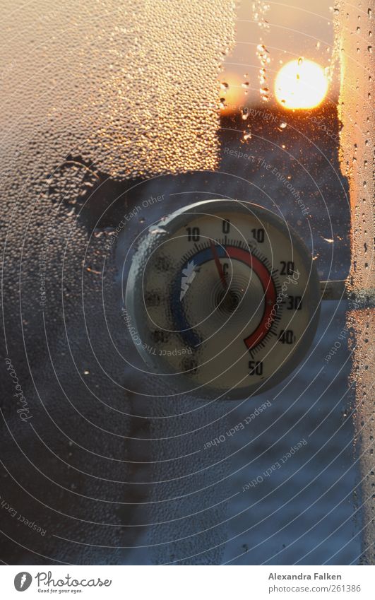 Wasser in der Wohnung III Thermometer Technik & Technologie kalt nass Temperatur Messung Frost frieren Wassertropfen Winter Jahreszeiten Mietrecht Miete