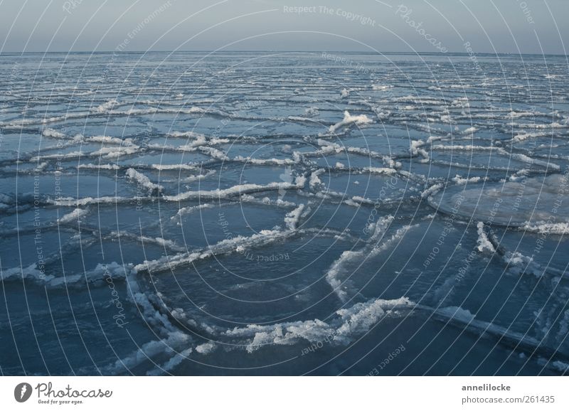 Eismeer Natur Landschaft Horizont Winter Klima Klimawandel Frost Ostsee Meer Schwimmen & Baden kalt blau Im Wasser treiben Eisscholle gefroren knirschen