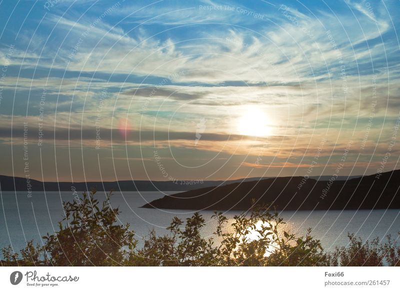 Sonnenuntergang in Norwegen Abenteuer Ferne Meer Landschaft Himmel Wolken Horizont Klimawandel Wildpflanze Küste Stein Wasser natürlich blau gelb grau grün