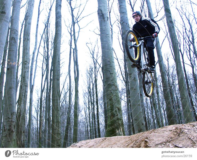 Steilflug Fahrrad Wald springen Trick Geschwindigkeit Hügel Rampe Mut Baum Extremsport Dirt Bewegung Dynamik Erde Bodenbelag Luftverkehr Außenaufnahme