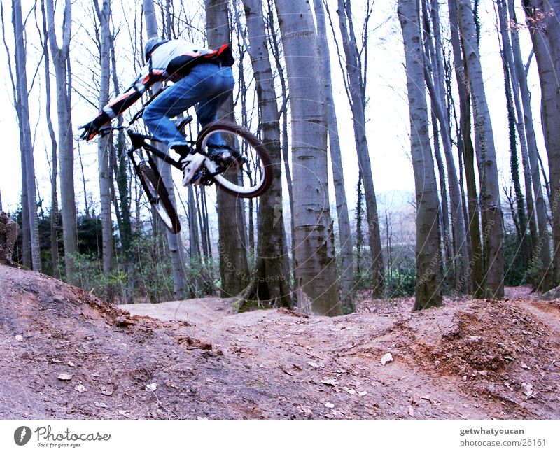 Tiefflug Fahrrad Wald springen Trick Geschwindigkeit Hügel Rampe Mut Baum Extremsport Dirt Bewegung Dynamik Erde Bodenbelag Luftverkehr Außenaufnahme