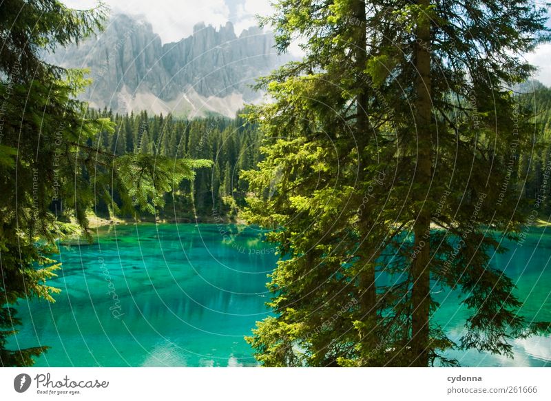 Kaltes klares Wasser harmonisch ruhig Ferien & Urlaub & Reisen Tourismus Ausflug Ferne Freiheit wandern Umwelt Natur Landschaft Sommer Baum Wald Alpen