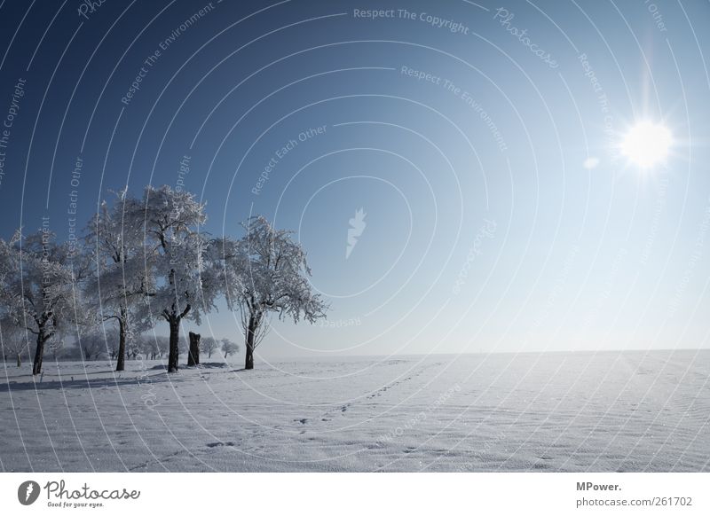 irendwo in thüringen Natur Landschaft Horizont Winter Schönes Wetter Eis Frost Schnee leuchten kalt Umwelt Ferne gefroren Blauer Himmel Schneelandschaft weiß
