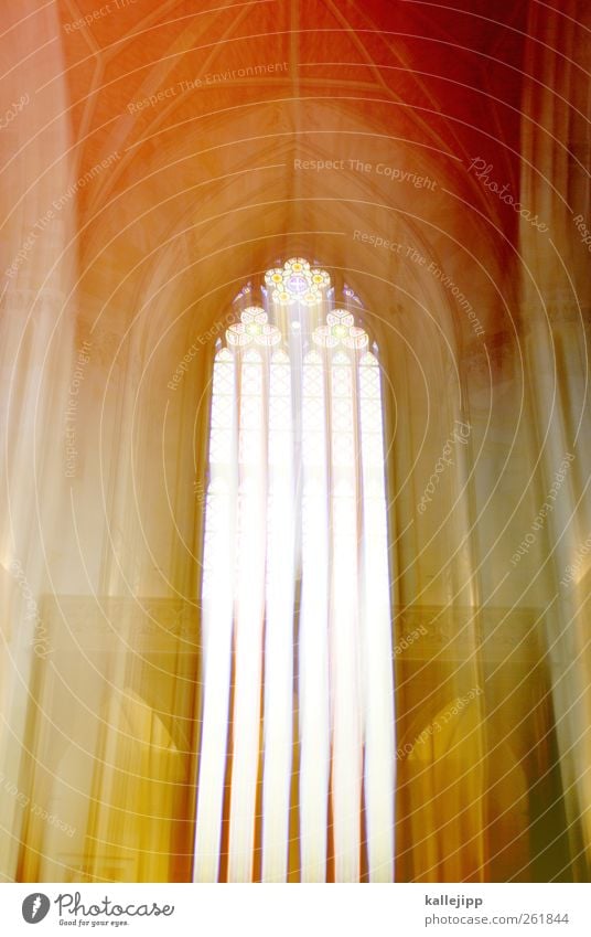 auferstehung Kirche Dom Fenster mehrfarbig Kirchenfenster Kathedrale Auferstehung Gotik Architektur Bogen hell Himmel (Jenseits) Farbfoto Innenaufnahme