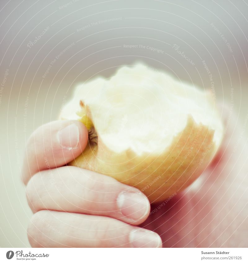 Apfel - Yammi Lebensmittel Frucht Ernährung Essen Bioprodukte Vegetarische Ernährung Diät füttern Apfelernte haltend frisch bissfest Zahnpflege Farbfoto