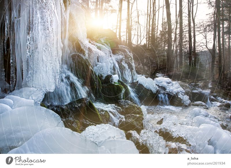 F.R.O.S.T. Natur Landschaft Wasser Sonnenlicht Winter Schönes Wetter Eis Frost Baum Wald Felsen Wasserfall kalt Klima fließen Minusgrade Bärenschützklamm