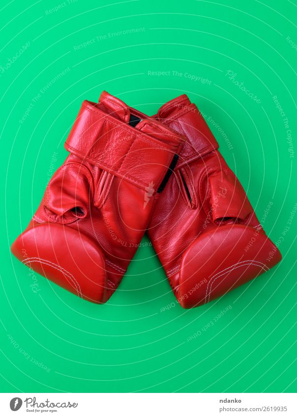 rote Sportleder Boxhandschuhe Lifestyle Leder Handschuhe Fitness oben grün Schutz Farbe Konkurrenz Kreativität Hintergrund Kasten Boxer Boxsport
