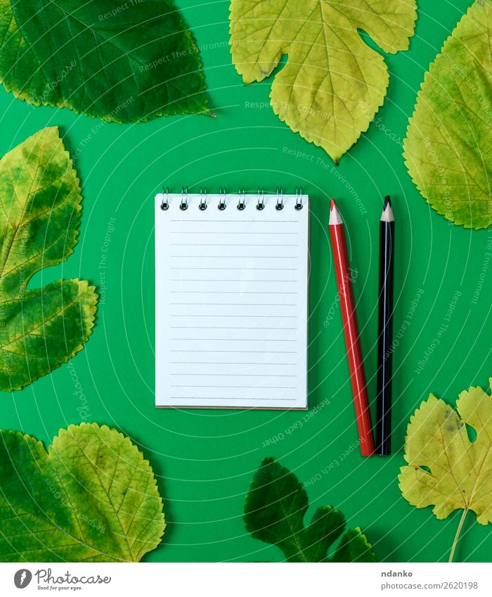 offenes Notizbuch in Übereinstimmung mit weißen leeren Seiten Bildung Schule Natur Pflanze Herbst Baum Blatt Papier zeichnen hell natürlich Sauberkeit gelb grün