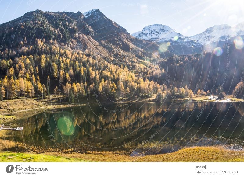 Ab heute ist der Herbst 2018 Geschichte harmonisch Berge u. Gebirge wandern Natur Landschaft Lärchenwald Alpen Schneebedeckte Gipfel See Duisitzkarsee