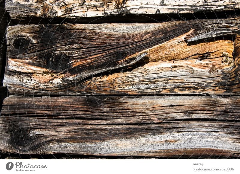 Holz mit Geschichte Holzwand Holzbrett Maserung Astloch Patina alt bizarr Verfall verwittert Vergänglichkeit Haltbarkeit nachhaltig eigenwillig einzigartig