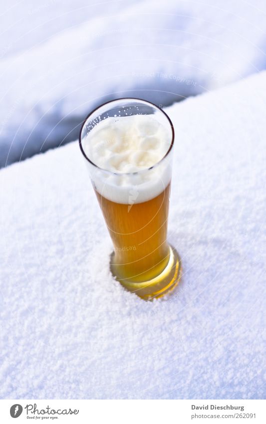 Kühles Blondes Ernährung Getränk Erfrischungsgetränk Alkohol Bier Glas Winter Schnee gelb weiß Bierglas Weizenbier Durstlöscher Schaum kalt gekühlt lecker