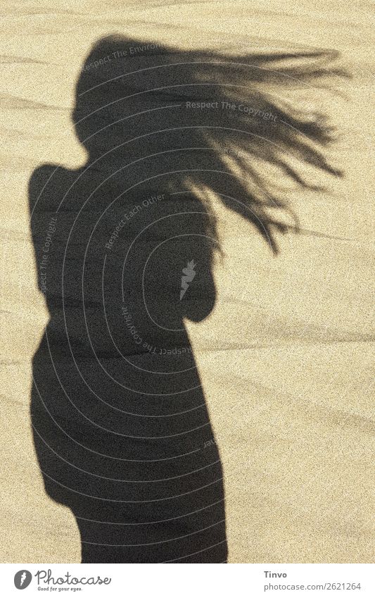 Schatten einer Frau mit langen Haaren am Strand feminin Haare & Frisuren 1 Mensch Natur Sommer Erotik Erholung Leichtigkeit Ferien & Urlaub & Reisen Wind