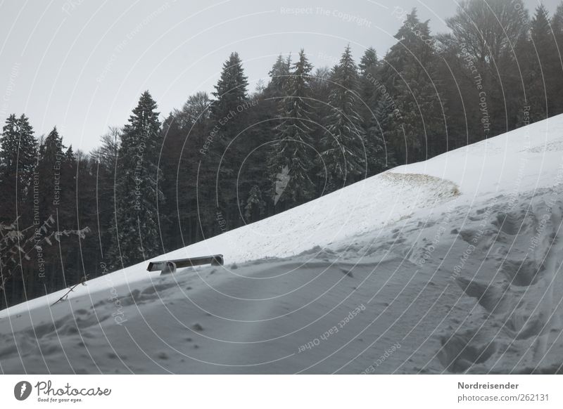 Baumloben | Schiefe Bank Winter Schnee Winterurlaub wandern Wintersport Landschaft Klima Eis Frost Wald Berge u. Gebirge Fußspur frieren laufen dunkel