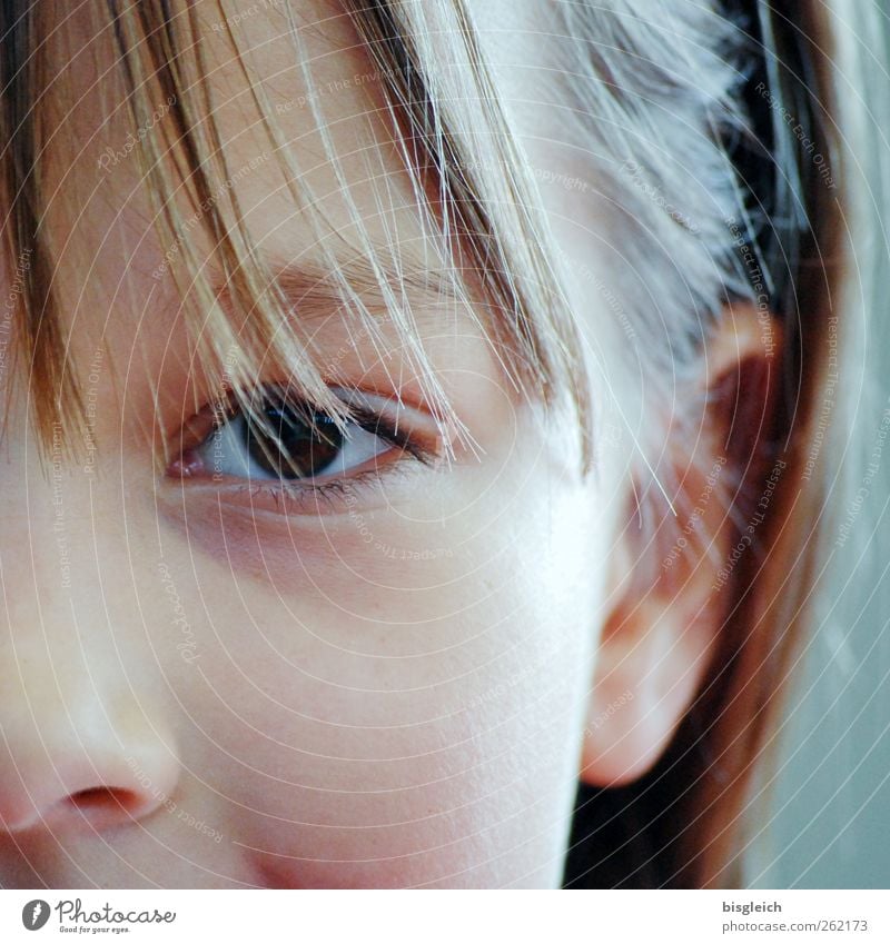 Kinderportrait feminin Mädchen Kindheit Kopf Haare & Frisuren Gesicht Auge Ohr Nase 1 Mensch 8-13 Jahre Blick Neugier Vertrauen Farbfoto Außenaufnahme Tag