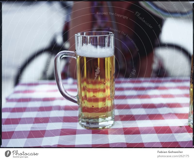 kühles blondes Ernährung Getränk Alkohol Bier Glas Rauschmittel trinken ausgehen Restaurant Farbfoto Außenaufnahme Tag Schwache Tiefenschärfe