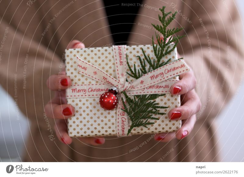 Frauenhände halten Weihnachtspäckchen II Feste & Feiern Weihnachten & Advent Paket Christbaumkugel Vorfreude Idee Handel schenken festhalten einpacken Liebe