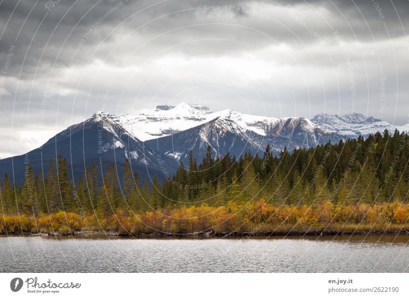 herbstliches Seeufer vor Gebirge mit Schnee bei schlechtem Wetter mit Regenwolken Herbst Wald Rocky Mountains Banff National Park Kanada Nordamerika Natur