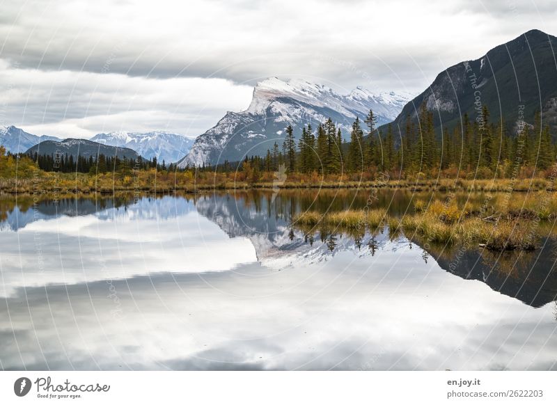 Symmetrie | Berge die sich im See spiegeln im Herbst und bei bedecktem Himmel mit vielen Wolken Kanada Banff Banff National Park Vermilion Lakes Mount Rundle