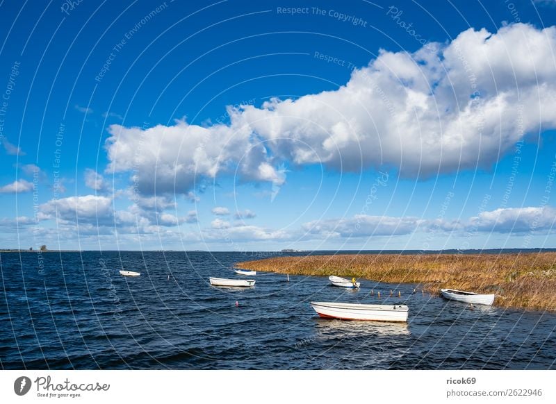 Boote auf der Ostsee in Dänemark Erholung Ferien & Urlaub & Reisen Tourismus Natur Landschaft Wasser Wolken Küste Hafen Architektur Sehenswürdigkeit