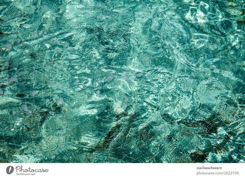 Meer Lifestyle Gesundheit Ferien & Urlaub & Reisen Tourismus Sommer Strand Wellen Umwelt Natur Urelemente Wasser Küste frisch nass natürlich schön blau türkis