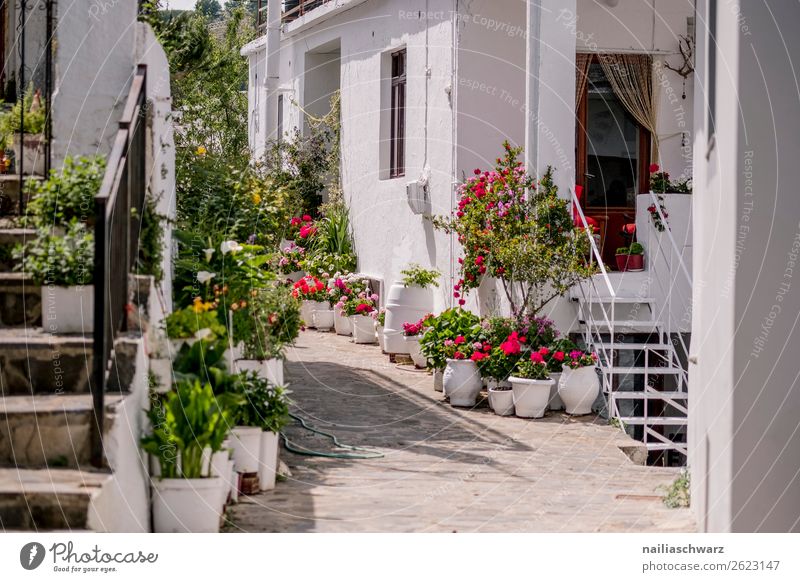 Impressionen aus Kreta im Sommer Crete Griechenland sonnig Urlaub reisen Eindruck Haus MEER Wasser Gebäude Örtlichkeit malerisch Landschaft Natur hafen Straße