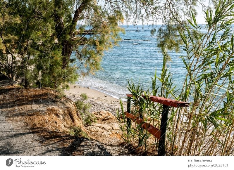Meer Aussicht, Kreta Lifestyle Ferien & Urlaub & Reisen Tourismus Ausflug Sommer Sommerurlaub Umwelt Natur Landschaft Sand Schönes Wetter Pflanze Baum
