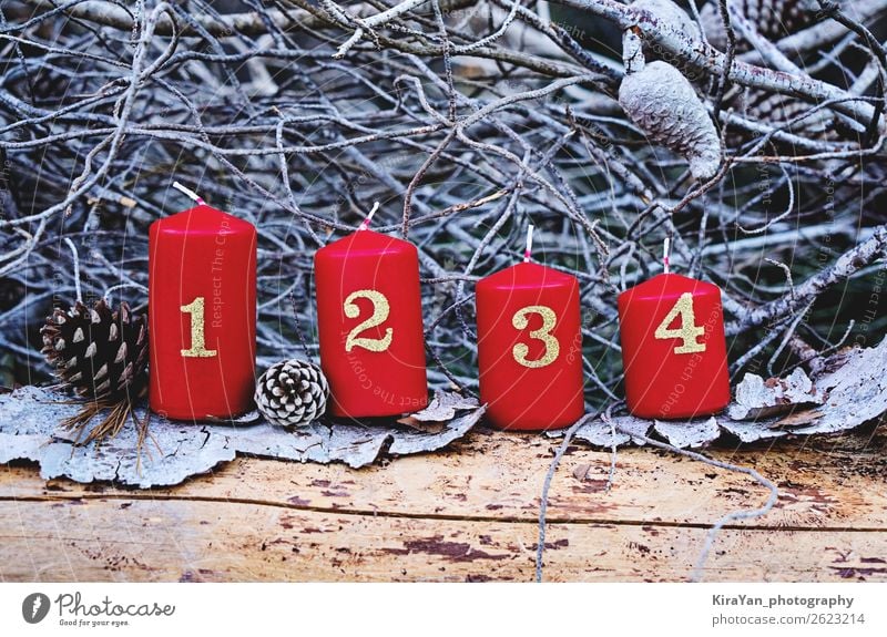 Vier rote Adventskerzen mit Nummer Winter Dekoration & Verzierung Feste & Feiern Weihnachten & Advent Baum Kerze Gefühle Hoffnung geheimnisvoll