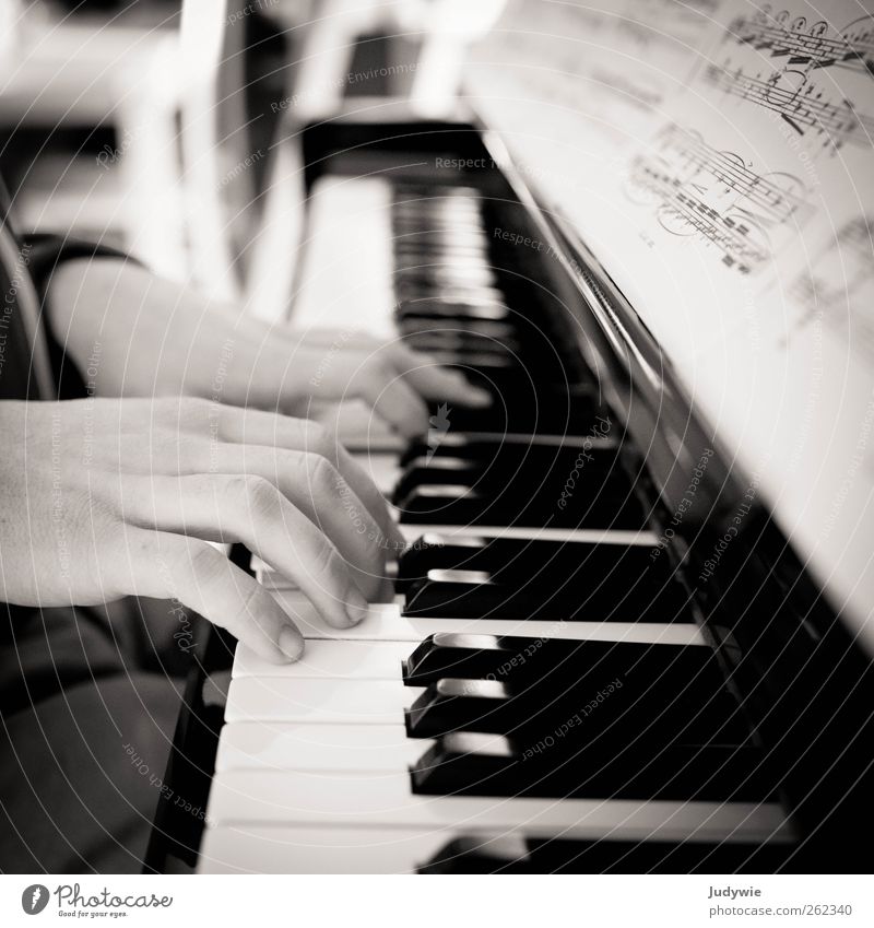 Pianist Freizeit & Hobby Spielen Bildung Beruf Musiker Mensch maskulin Junger Mann Jugendliche Hand Kunst Künstler Konzert Klavier Musiknoten Taste lesen