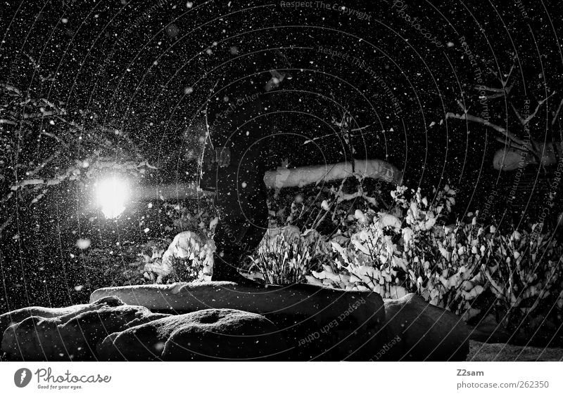dark night II maskulin Junger Mann Jugendliche 18-30 Jahre Erwachsene Umwelt Natur Landschaft Nachthimmel Stern Winter Schnee Schneefall Jacke Stiefel stehen