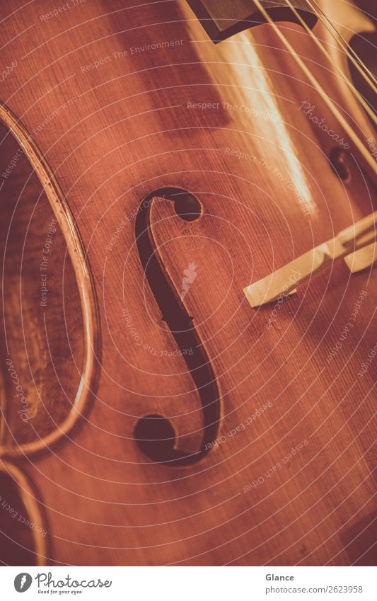 Klassik ganz nah elegant Stil Kunst Musik Orchester Cello Holz ästhetisch braun Stimmung Warmherzigkeit schön Design einzigartig Kultur Qualität Musikinstrument
