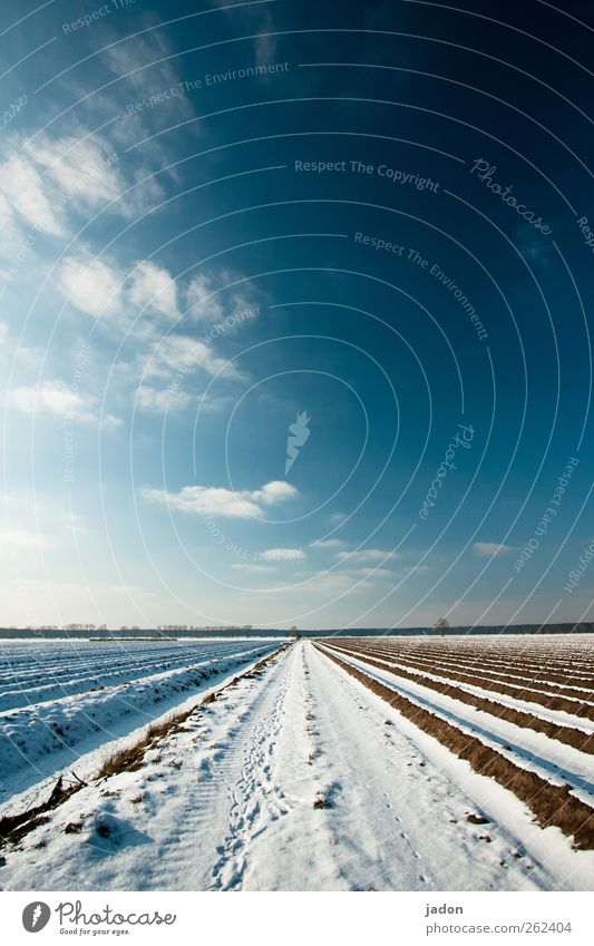 vor saison. Landschaft Himmel Wolken Horizont Winter Schnee Feld kalt blau ruhig Wege & Pfade Ferne Reihe Brandenburg Unendlichkeit Menschenleer