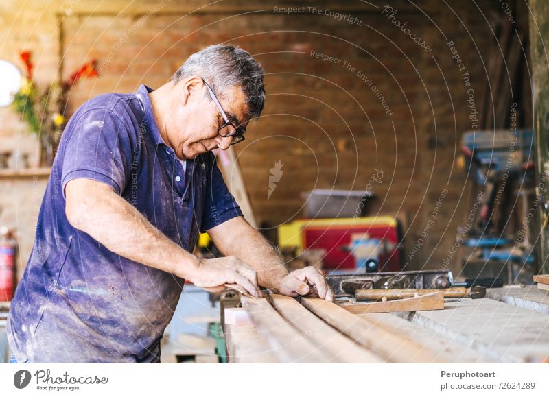 Professioneller Tischler, der in seiner Werkstatt arbeitet Freizeit & Hobby Möbel Arbeit & Erwerbstätigkeit Beruf Industrie Handwerk Werkzeug Mensch Mann