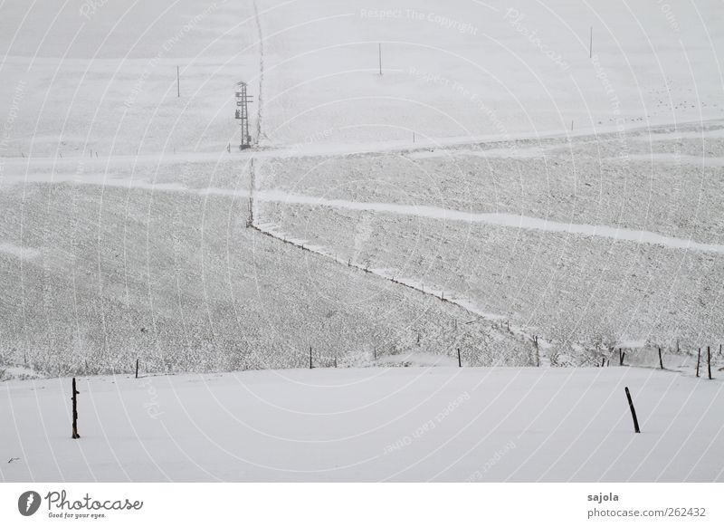 baumloben | im feld Umwelt Natur Landschaft Winter Schnee Feld kalt grau schwarz weiß ruhig Traurigkeit Zaun Ferne Linie Fluchtlinie Pfosten Farbfoto