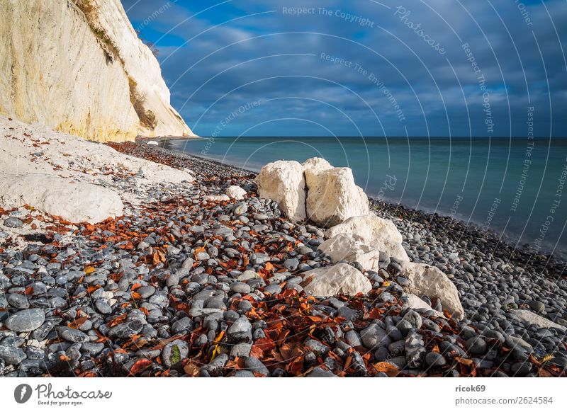 Ostseeküste auf der Insel Moen in Dänemark Erholung Ferien & Urlaub & Reisen Tourismus Strand Meer Natur Landschaft Wasser Wolken Herbst Baum Wald Felsen Küste