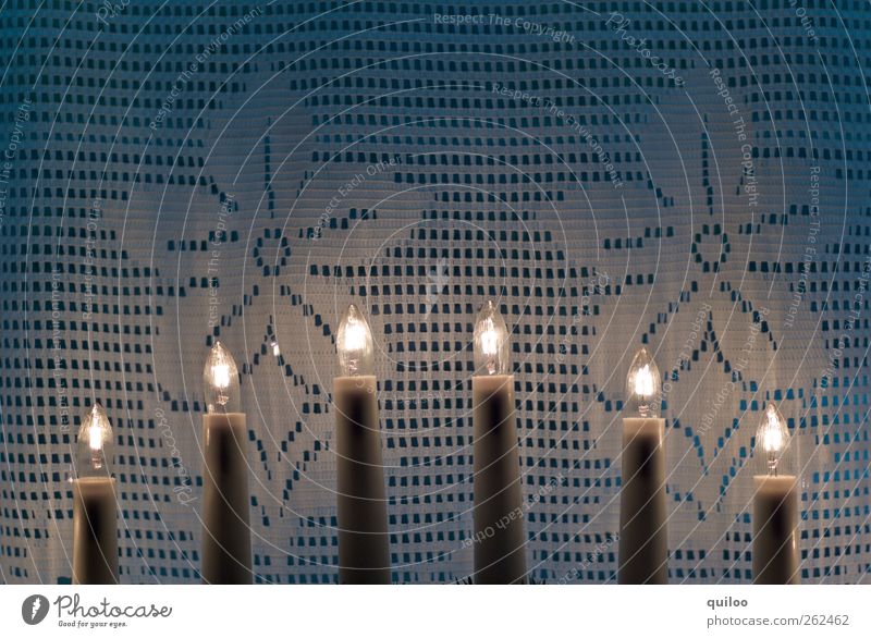 Lichterbogen Stil einrichten Lampe Fenster Dekoration & Verzierung Kitsch Krimskrams hell blau weiß ruhig Gardine leuchten Blumenmuster erleuchten Glühbirne