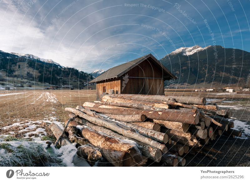 Hütte und Haufen von geschnittenen Baumstämmen in den Alpen Winter Schnee Berge u. Gebirge Industrie Umwelt Landschaft Dorf Holz alpin Österreich Österreicher
