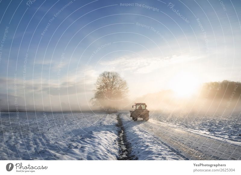 Traktorsilhouette durch Nebel bei Sonnenaufgang Lifestyle Winter Schnee Arbeit & Erwerbstätigkeit Beruf Maschine Natur Landschaft Wetter Schönes Wetter Wiese